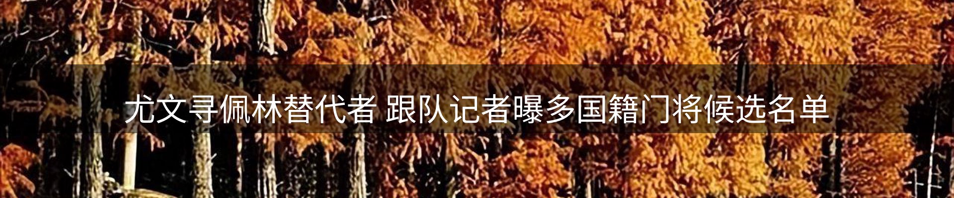 内页banner