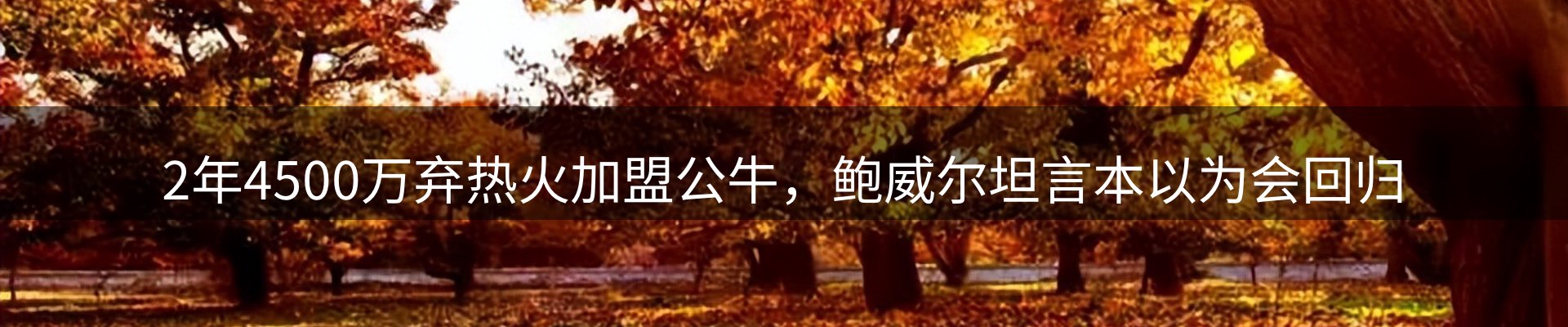 内页banner